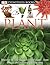 DK Eyewitness Books: Plant