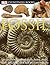 Fossil (Eyewitness Books)