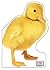 Duckling (Jumbo Animal Shaped Board Books)