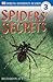 Spiders' Secrets (DK Readers Level 3)