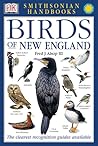 Birds of New England