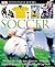 Soccer (DK Eyewitness Books)