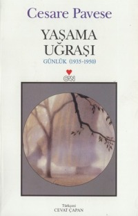 Yaşama Uğraşı