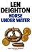 Horse under Water