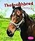 Thoroughbred Horses (Pebble...