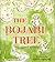 The Bojabi Tree