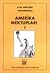 Amerika Mektupları by Ayşe Göktürk Tunceroğlu