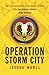 Operation Storm City (The Guild of Specialists, #3)