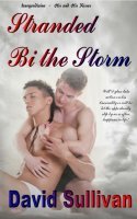 Stranded Bi The Storm (ebook)