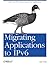Migrating Applications to IPv6