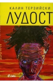 Лудост (Paperback)