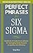 Perfect Phrases for Six Sigma by Greg Brue