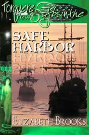 Safe Harbor (Kindle Edition)