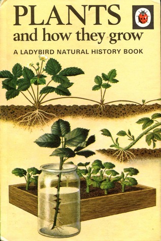 Plants and How They Grow (Hardcover)