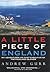 A Little Piece of England by Andrew Gurr