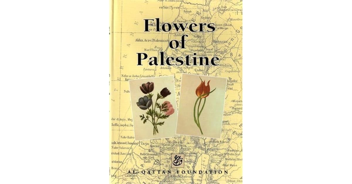 Flowers Of Palestine by Flowers of Palestine