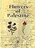 Flowers of Palestine