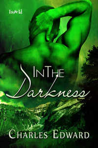In the Darkness (Kindle Edition)