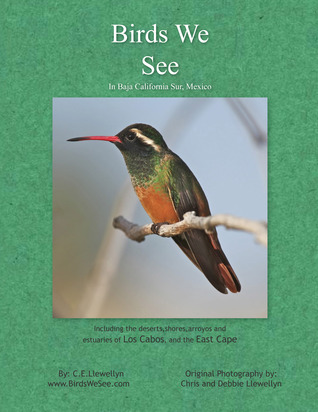 Birds We See