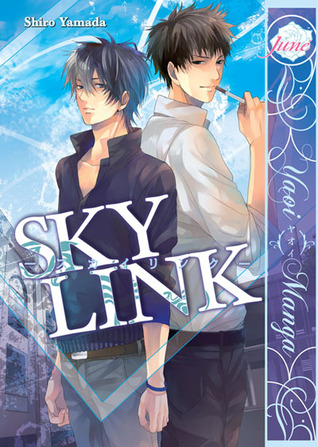 Sky Link (Paperback)