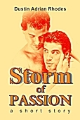 Storm of Passion: A Short Story (ebook)