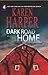 Jalan Pulang Yang Kelam (Dark Road Home) (Maplecreek Amish #1)