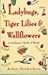 Ladybugs, Tiger Lilies and Wallflowers: a Gardener's Book of Words