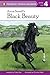 Anna Sewell's Black Beauty by Cathy East