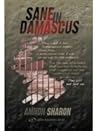 Sane in Damascus