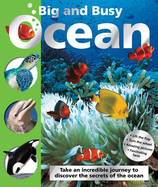 Big and Busy Ocean (Board Book)
