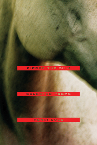 Pierce the Skin: Selected Poems, 1982-2007 (Hardcover)