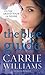 The Blue Guide
