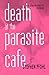 Death at the Parasite Cafe: Social Science (FICTIONS AND THE POSTMODERN)