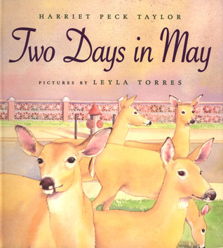 Two Days in May (Hardcover)