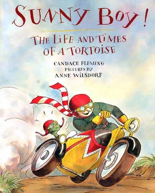 Sunny Boy!: The Life and Times of a Tortoise (Hardcover)