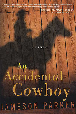 Capa do Livro An Accidental Cowboy