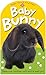 Baby Touch and Feel Baby Bunny