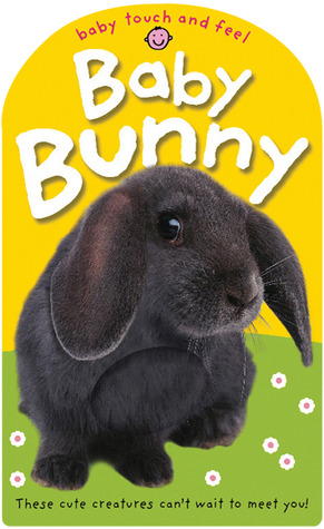 Baby Touch and Feel Baby Bunny (Board Book)