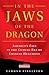 In the Jaws of the Dragon: ...
