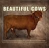Beautiful Cows by Val Porter