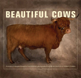 Beautiful Cows (Paperback)