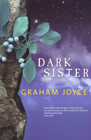 Dark Sister (Paperback)