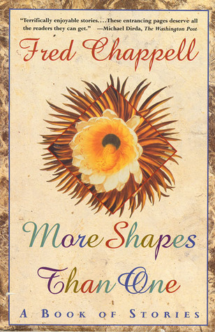 More Shapes Than One: A Book of Stories