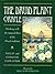 The Druid Plant Oracle: Working With the Magical Flora of the Druid Tradition