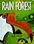 Rain Forest