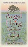 Angel Flying Too Close to the Ground