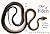 Out of Eden: An Odyssey of ...