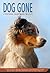 Dog Gone: A Picture Book