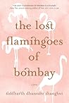 The Lost Flamingo...