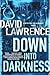 Down into Darkness (DS Stel...